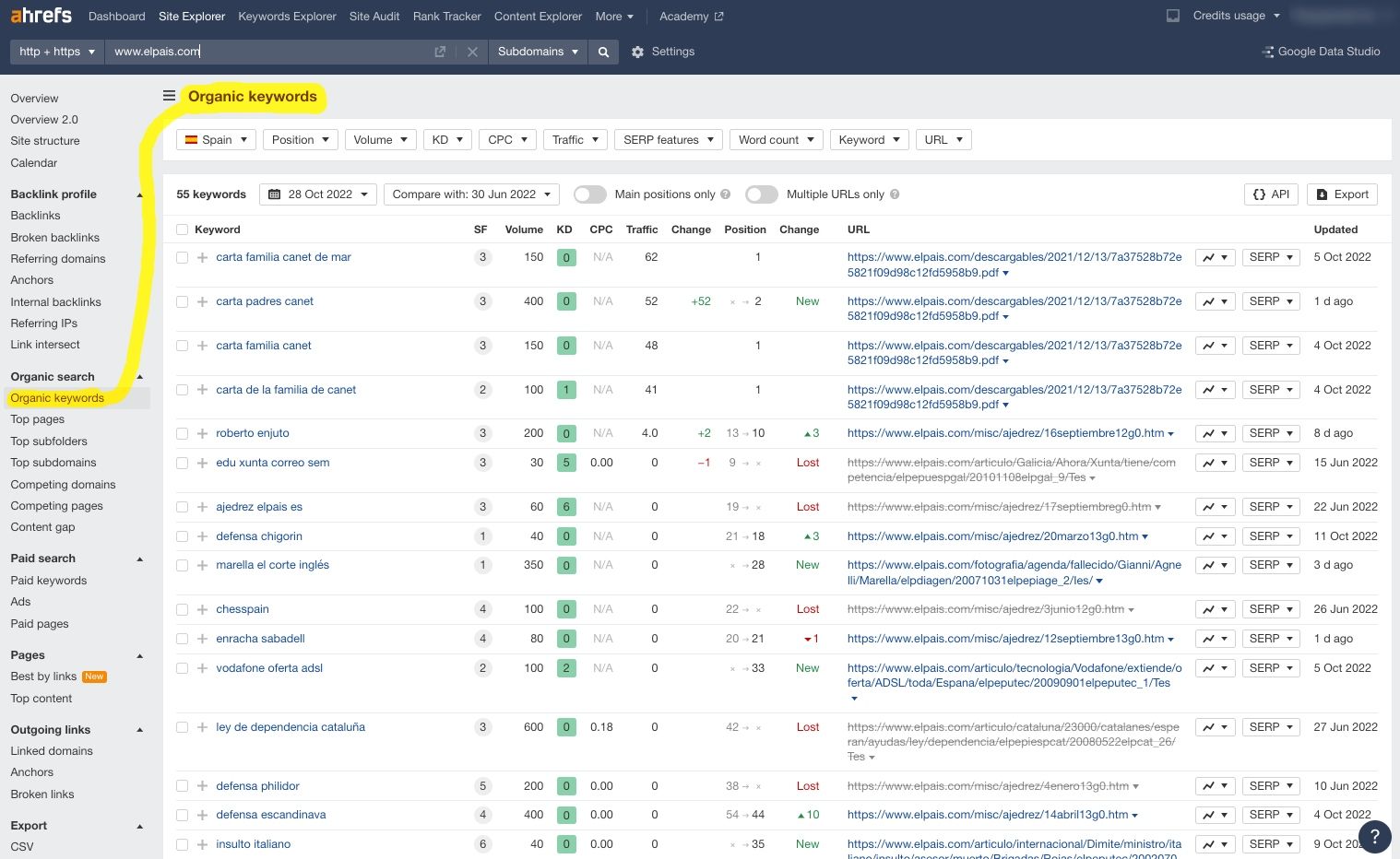 Organic keywords page of a domain on Ahrefs' dashboard