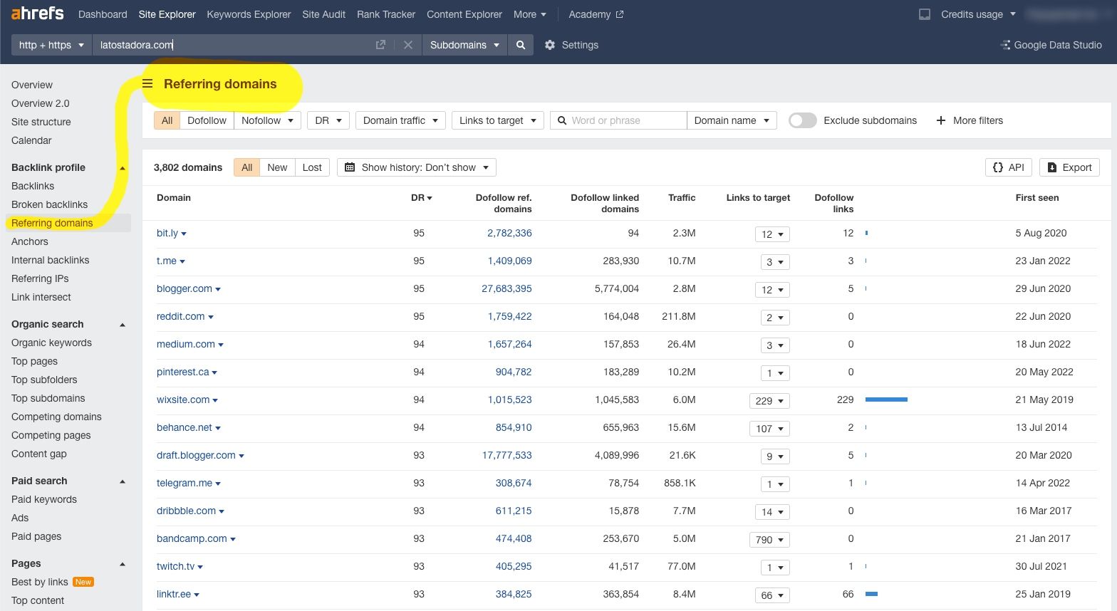 Referring domains page on Ahrefs' dashboard