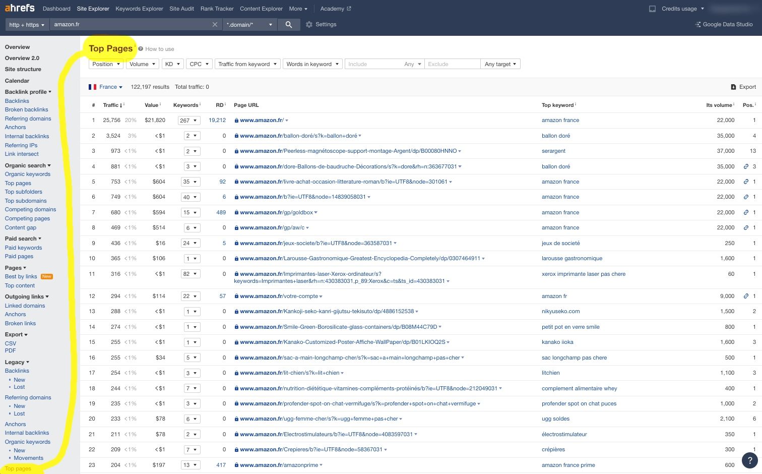 Top pages of a domain on Ahrefs' dashboard