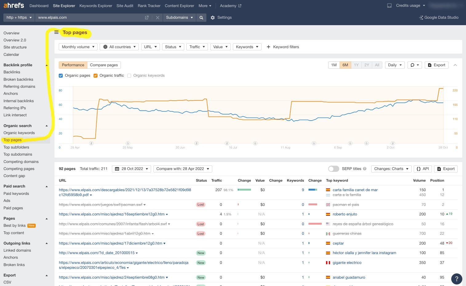 Top pages of a domain on Ahrefs' dashboard