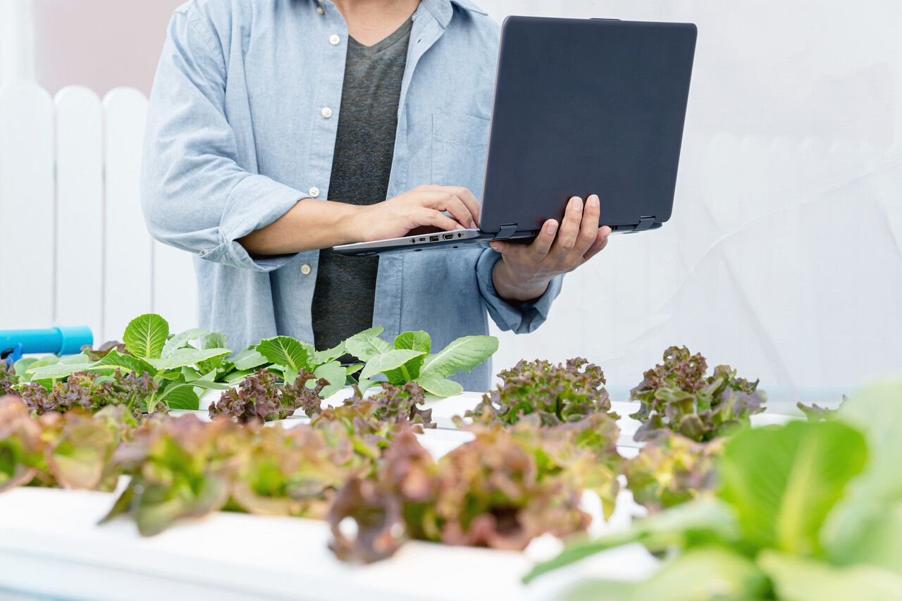 gardener checks his crops with laptop