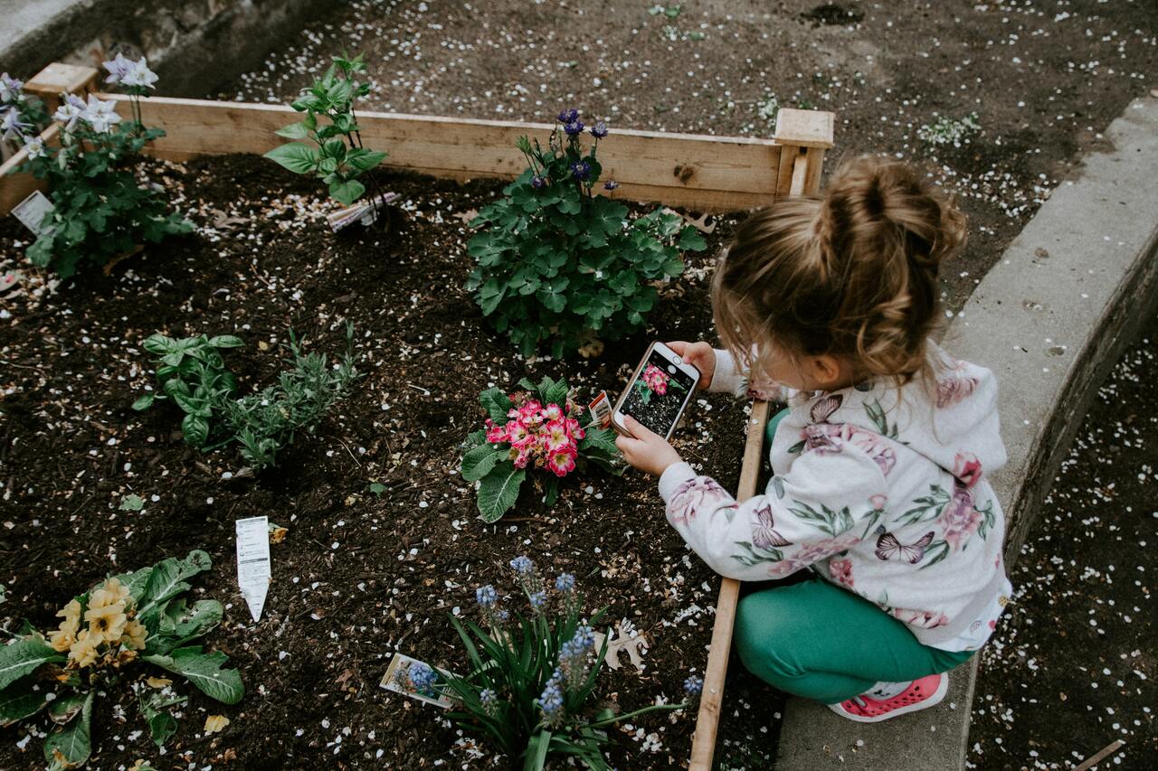 little girl taking photo of flower