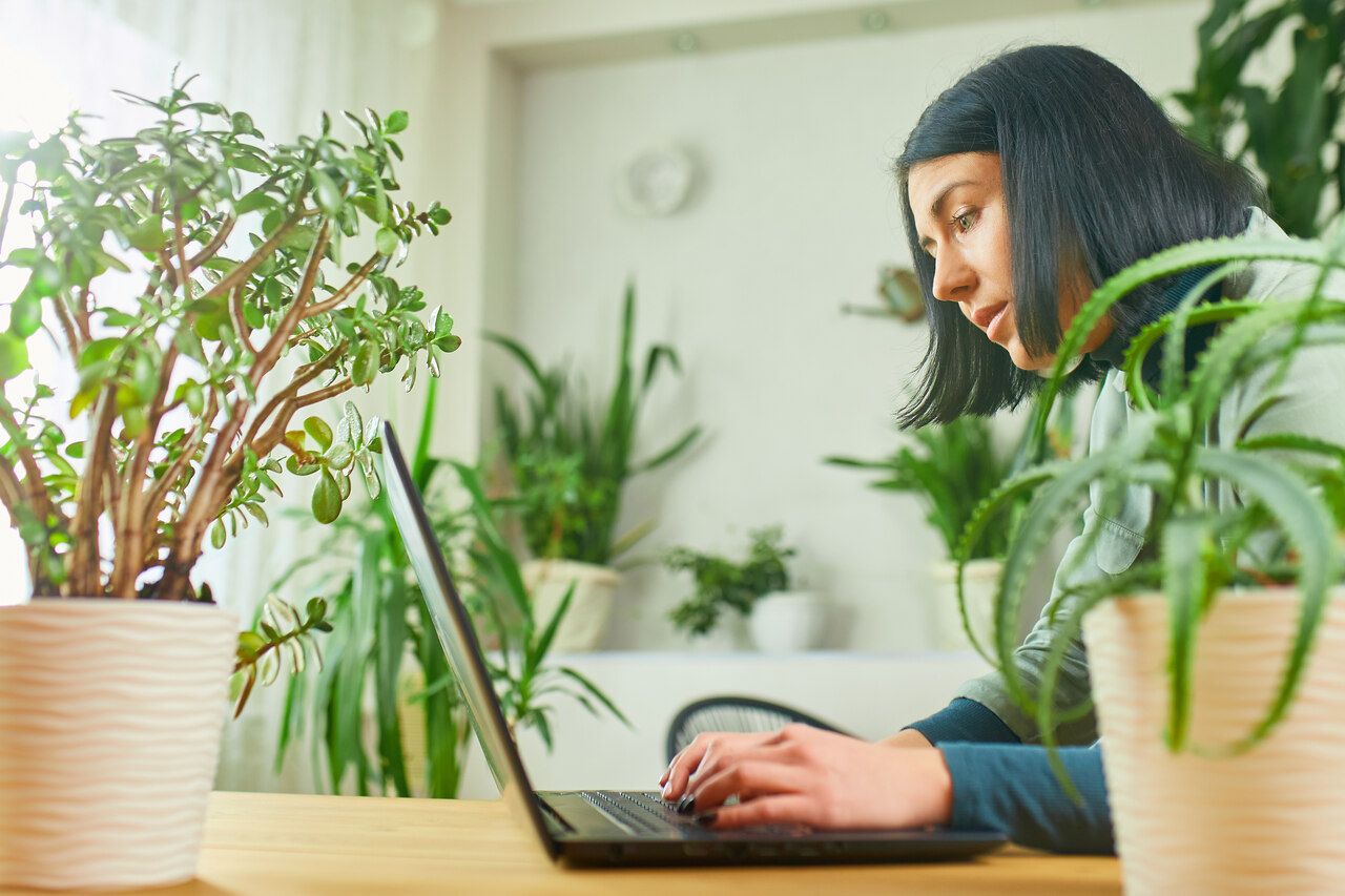 a woman doing research on computer among plants